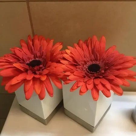 דירה Casa Elisabetta