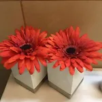 Апартаменты Casa Elisabetta