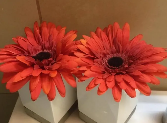 Апартаменты Casa Elisabetta